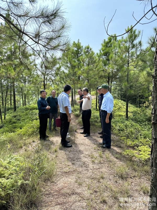 鸡西市学杨公风水跟陈荣昌老师实在